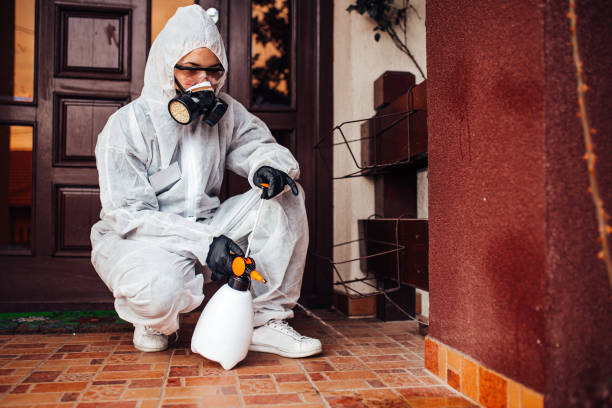 Reliable Wasp Removal contractor in Samoset, FL by Show Me Pest Control